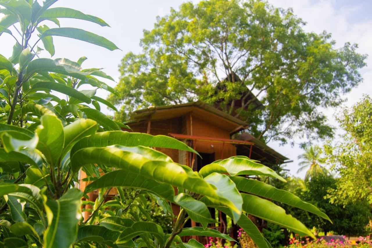 Anushka Nera Nature House Sigiriya Phòng bức ảnh